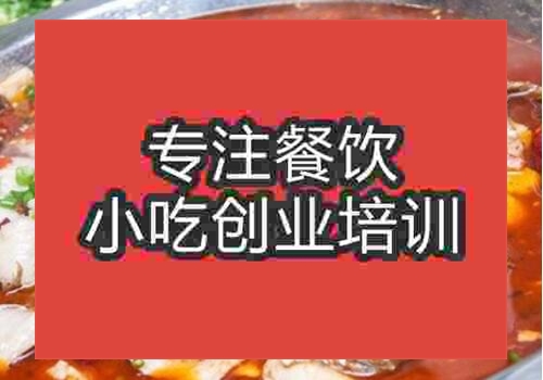 有火鍋魚培訓技術