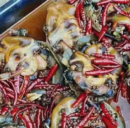 鐵板甲魚(yú)